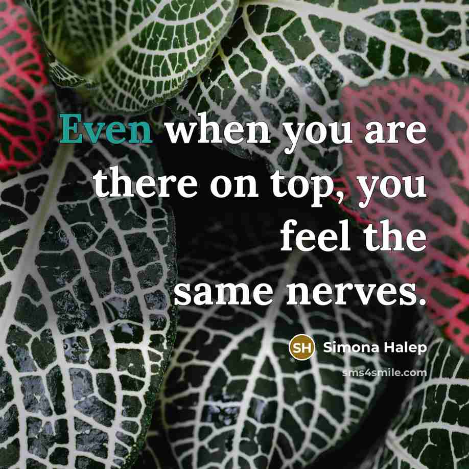 “Even when you are there on top, you feel the…” quote by Simona Halep