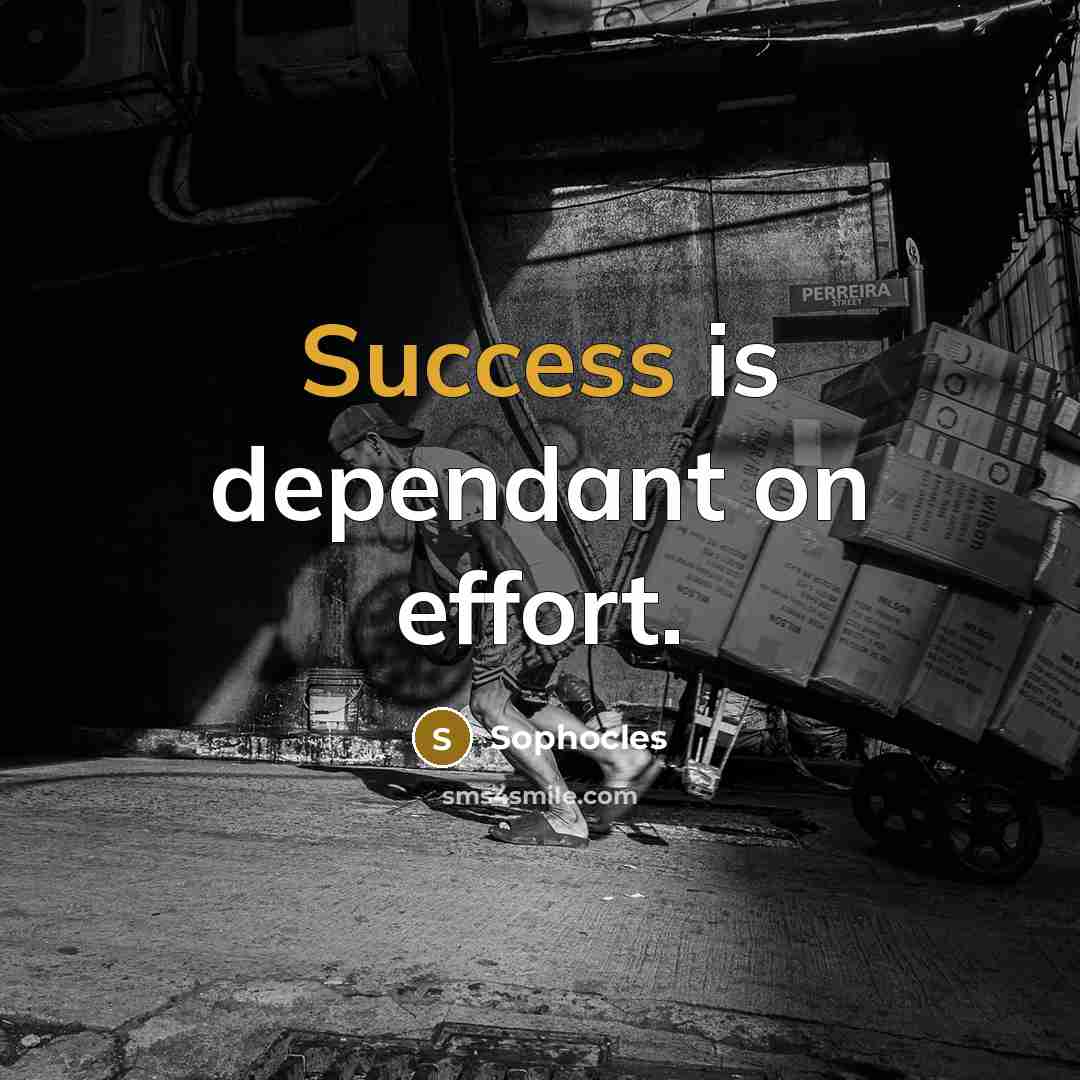 “Success is dependant on effort.…” quote by Sophocles