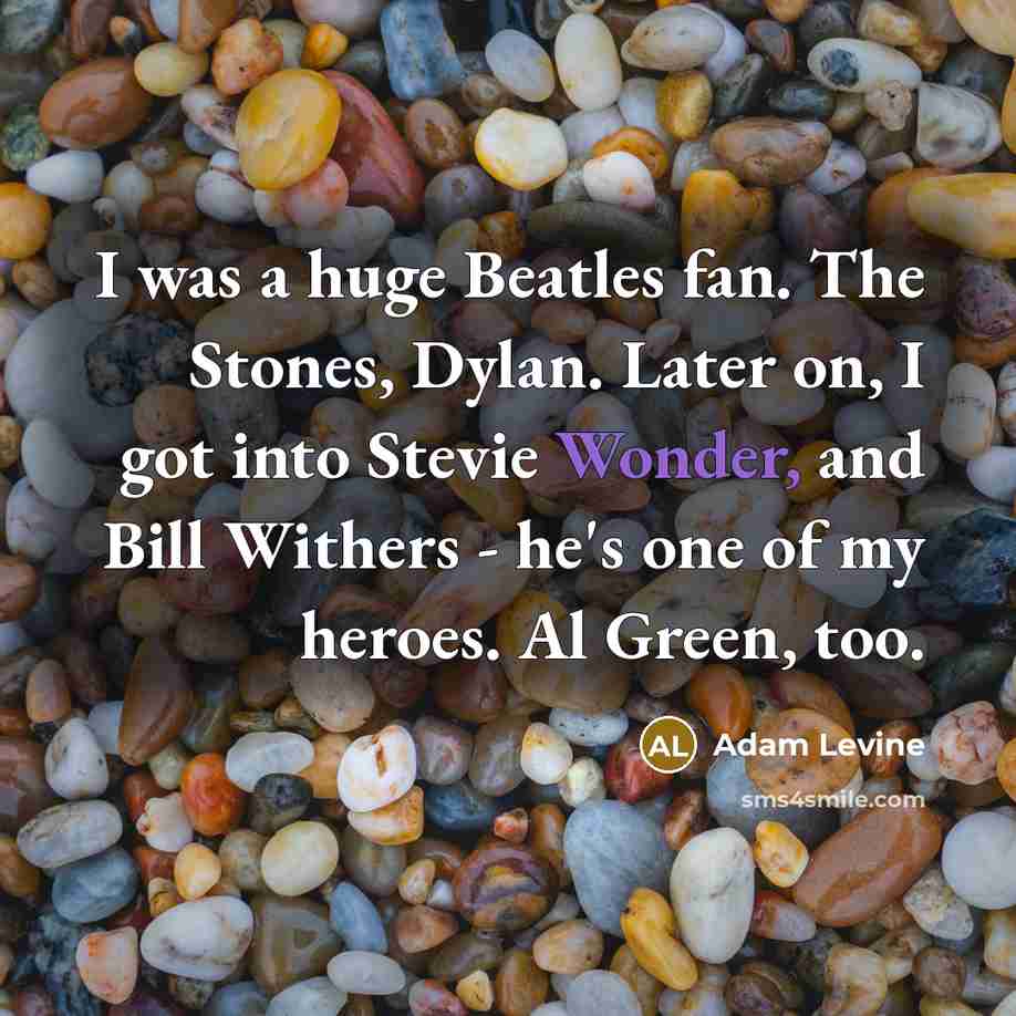 “I was a huge Beatles fan. The Stones, Dylan. Later…” quote by Adam Levine