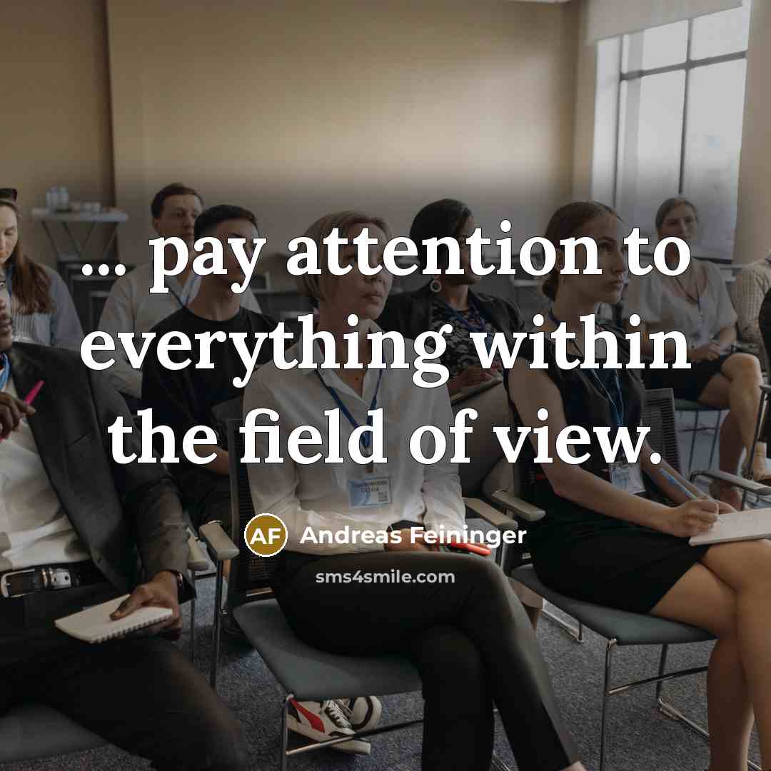 “... pay attention to everything within the field of view.…” quote by Andreas Feininger