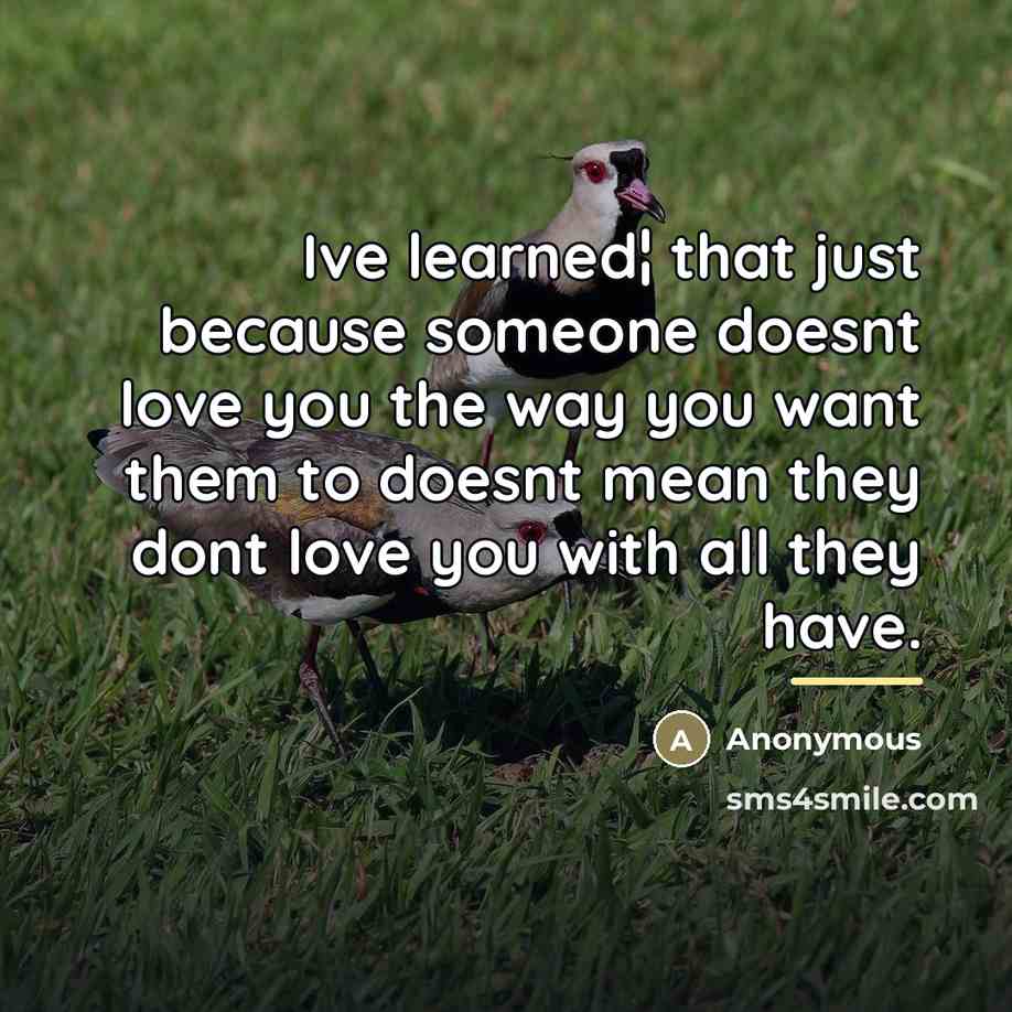 “Ive learned¦ that just because someone doesnt love you the…” quote by Anonymous