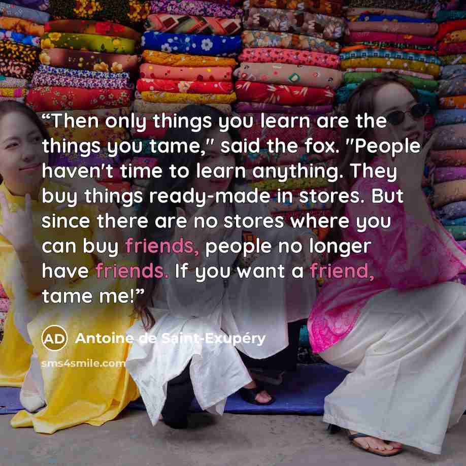 “Then only things you learn are the things you tame," said the fox. "People haven't time to learn anything. They buy things ready-made in stores. But since there are no stores where you can buy friends, people no longer have friends. If you want a friend, tame me!” quote by Antoine de Saint-Exupéry