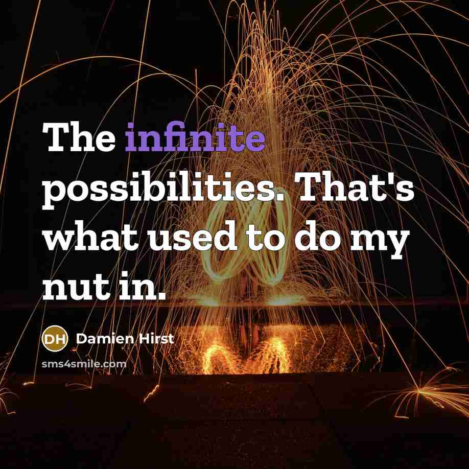 “The infinite possibilities. That's what used to do my nut…” quote by Damien Hirst