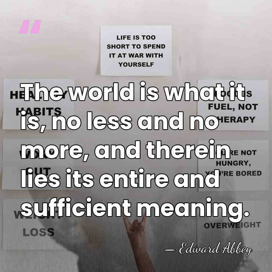 The world is what it is, no less and no more, and&hellip; - Edward Abbey