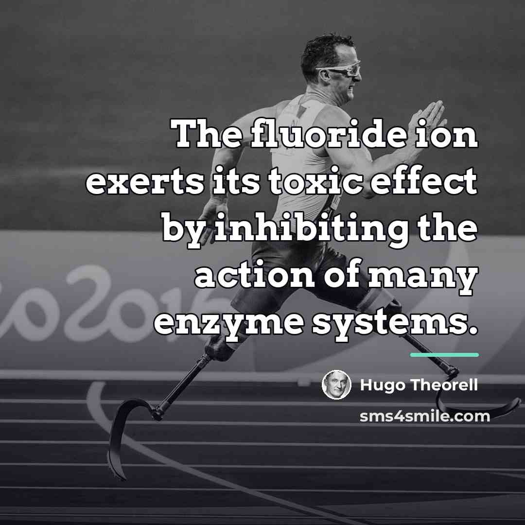 “The fluoride ion exerts its toxic effect by inhibiting the…” quote by Hugo Theorell