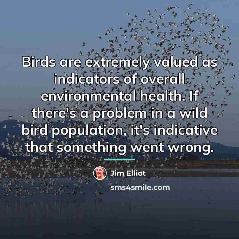 “Birds are extremely valued as indicators of overall environmental health.…” quote by Jim Elliot