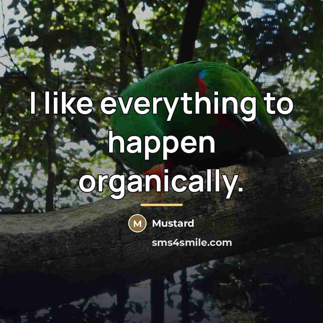 “I like everything to happen organically.…” quote by Mustard