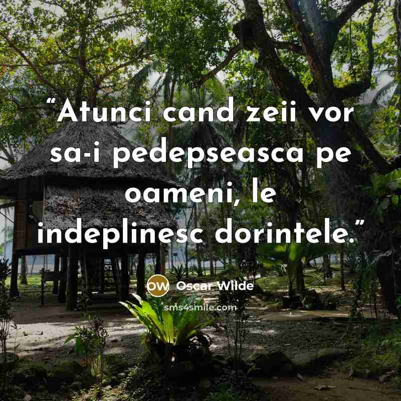 “Atunci cand zeii vor sa-i pedepseasca pe oameni, le indeplinesc dorintele.” quote by Oscar Wilde