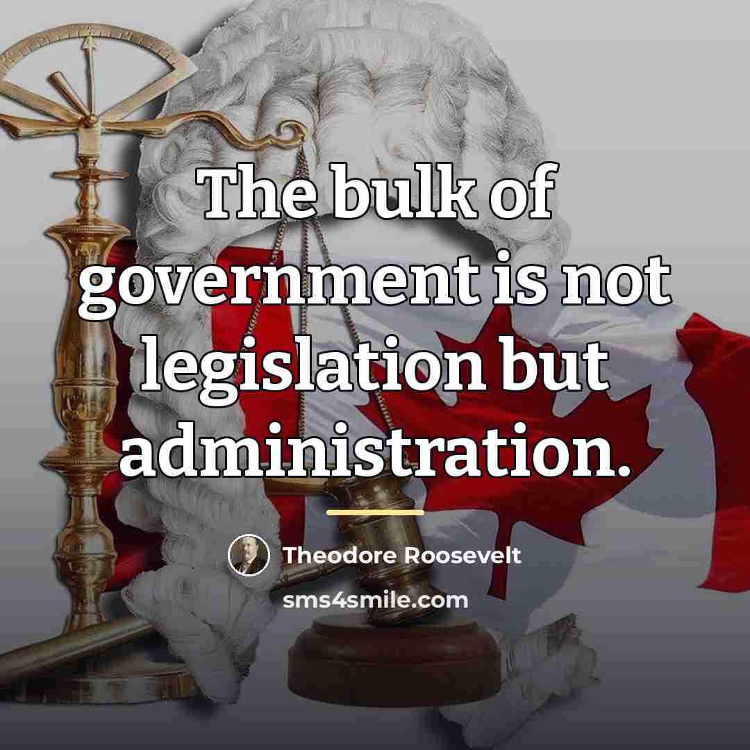 “The bulk of government is not legislation but administration.…” quote by Theodore Roosevelt