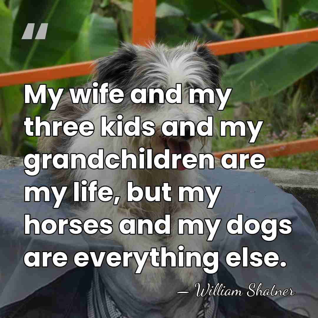 My wife and my three kids and my grandchildren are my life,&hellip; - William Shatner