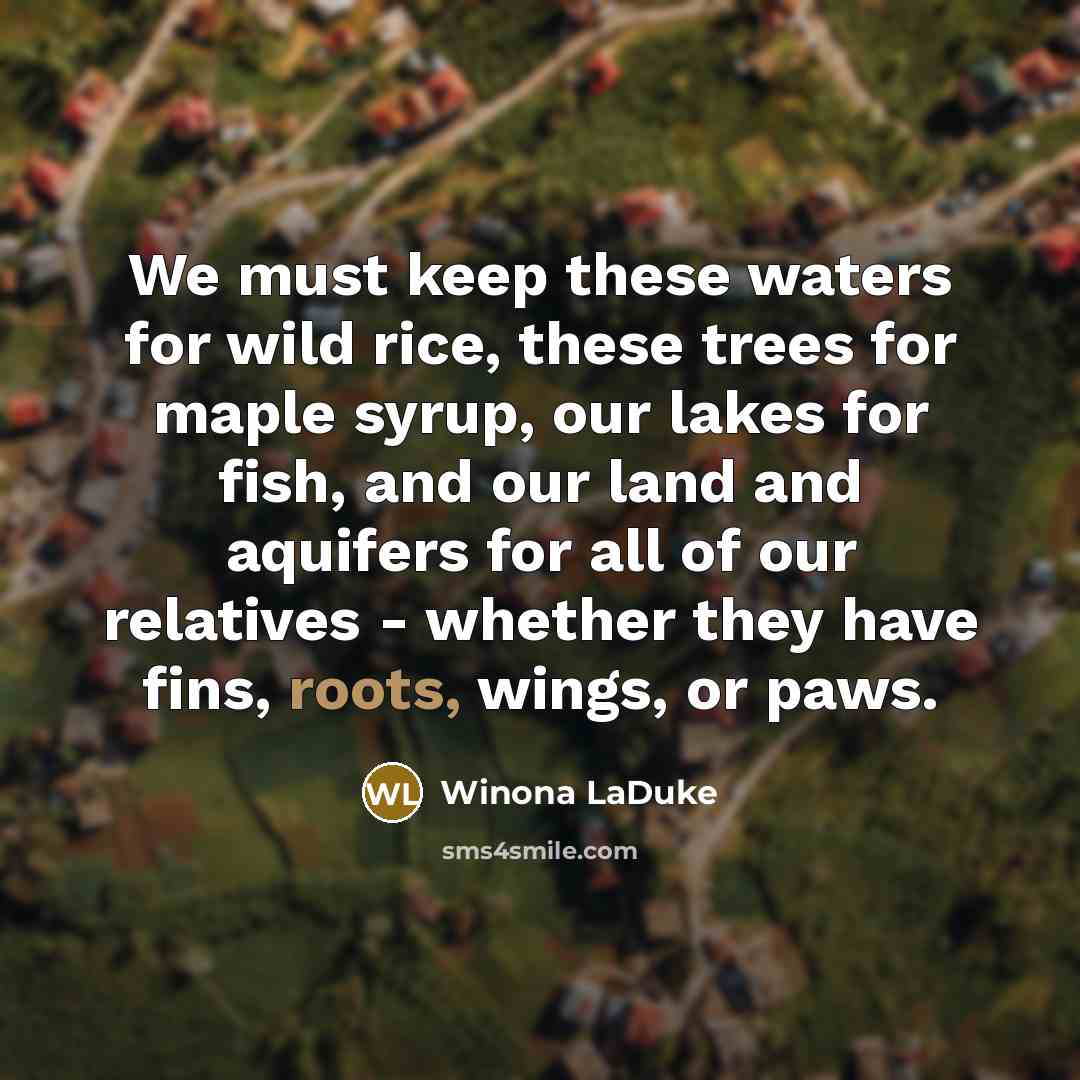 “We must keep these waters for wild rice, these trees…” quote by Winona LaDuke