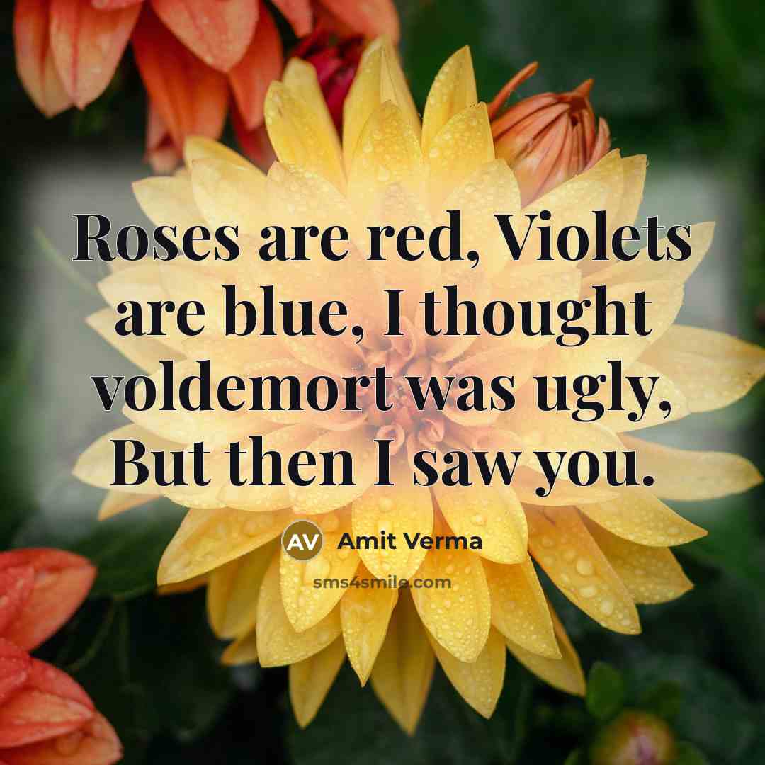 “Roses are red, Violets are blue, I thought voldemort was…” quote by Amit Verma