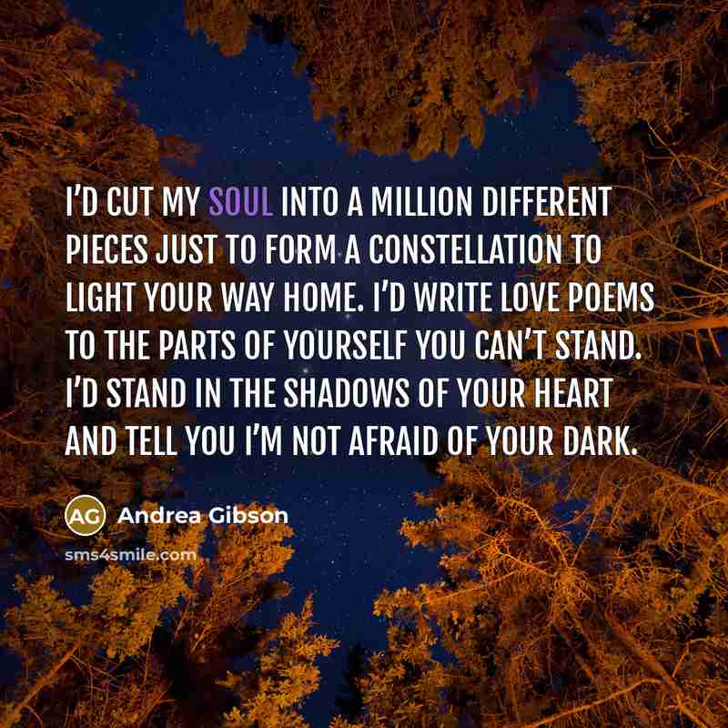 “I’d cut my soul into a million different pieces just…” quote by Andrea Gibson