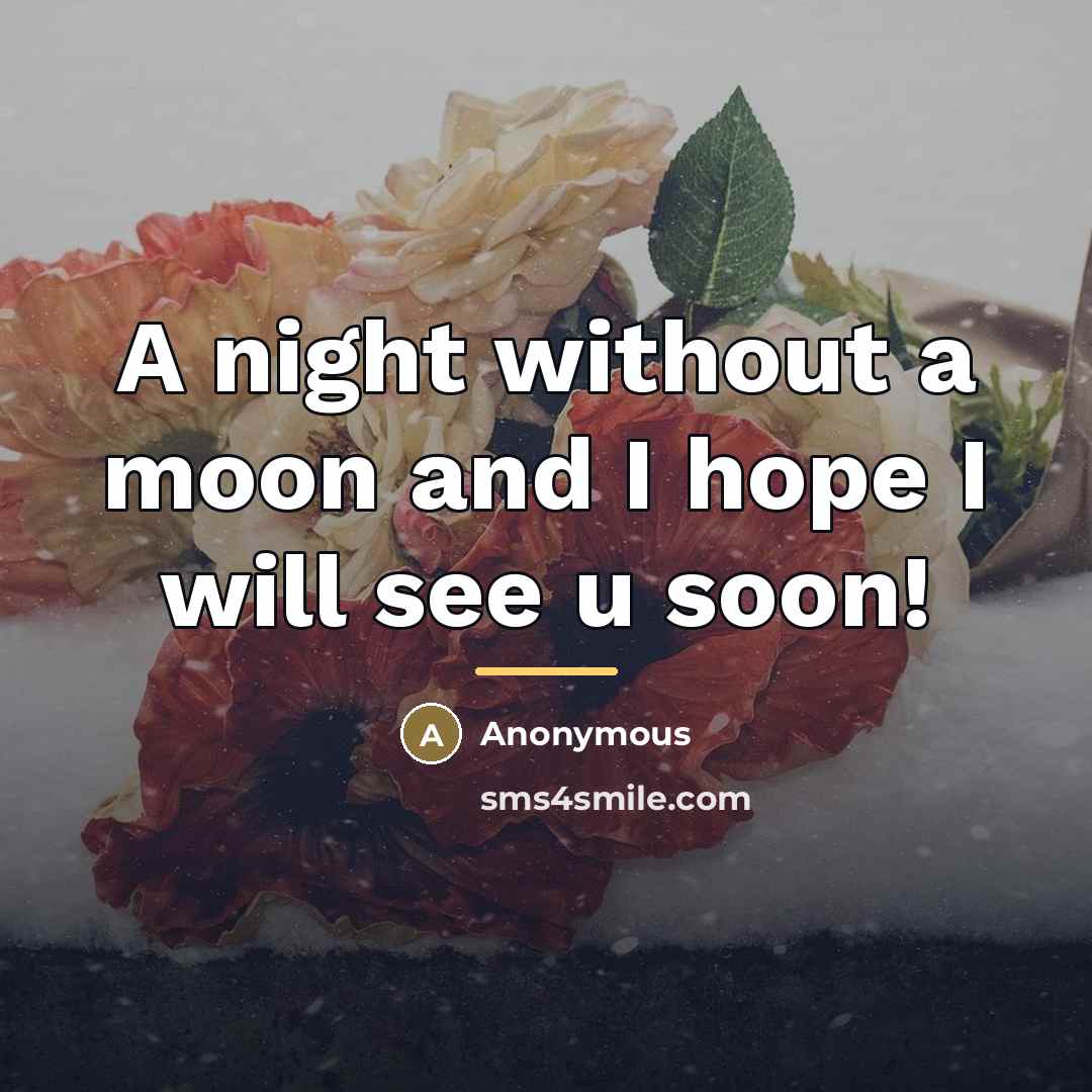 “A night without a moon and I hope I will…” quote by Anonymous