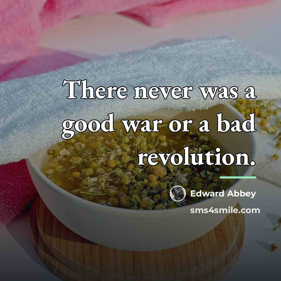 “There never was a good war or a bad revolution.…” quote by Edward Abbey