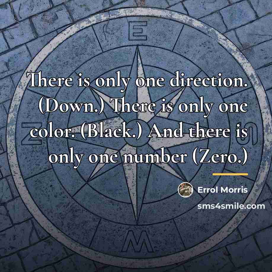 “There is only one direction. (Down.) There is only one…” quote by Errol Morris