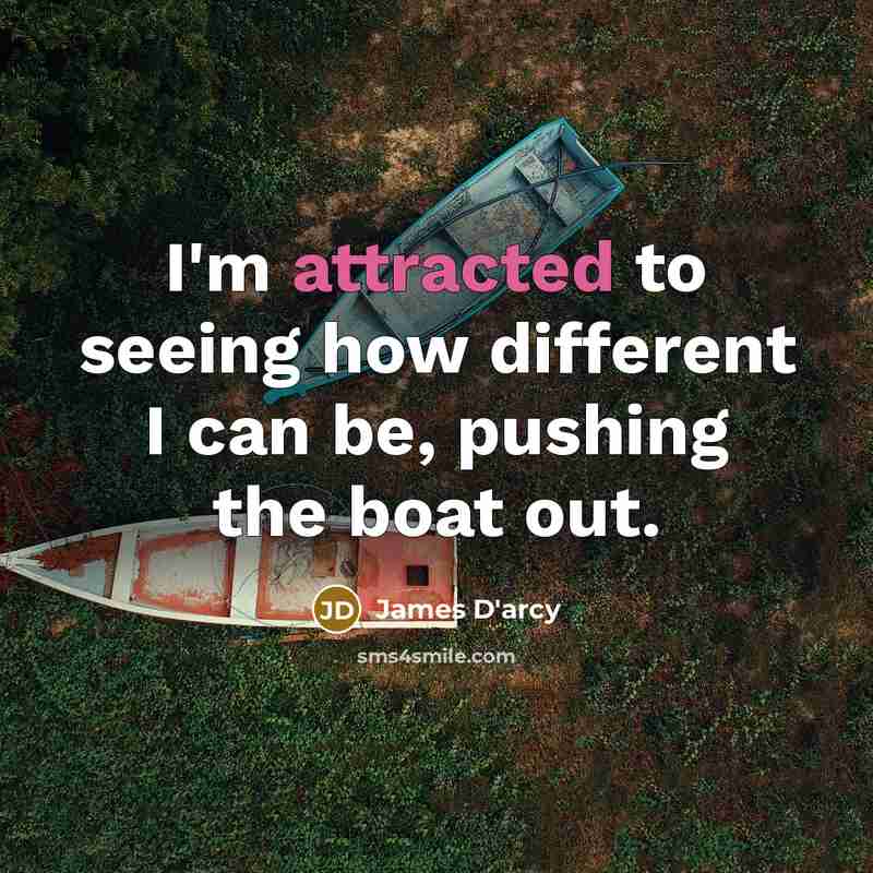 “I'm attracted to seeing how different I can be, pushing the boat out.” quote by James D'arcy