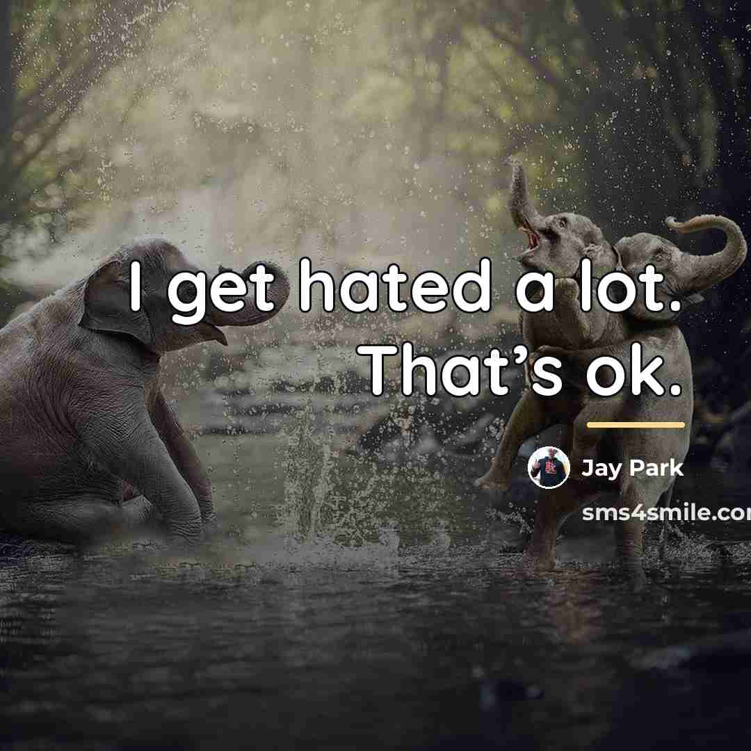 “I get hated a lot. That’s ok.…” quote by Jay Park
