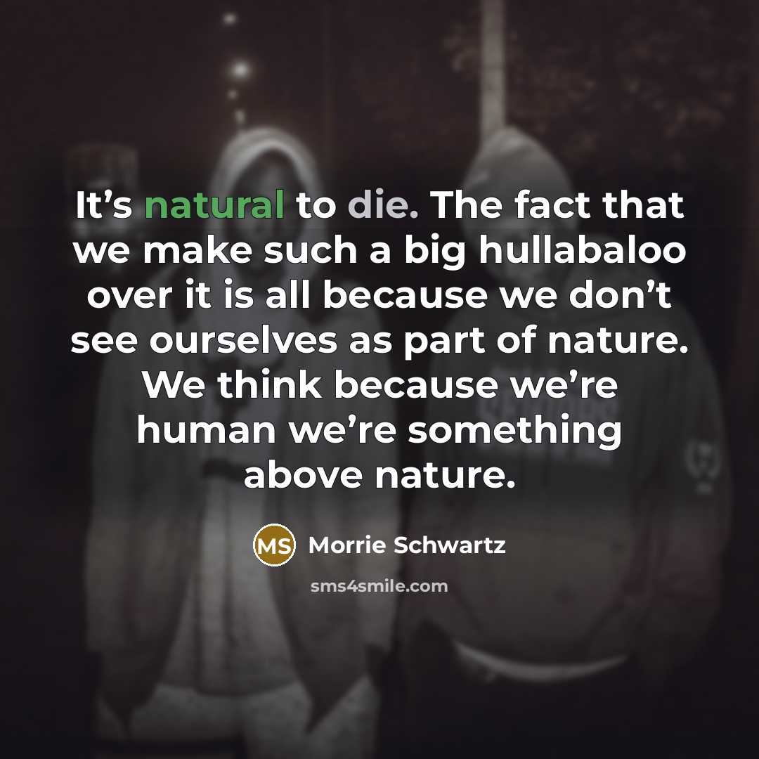 “It’s natural to die. The fact that we make such…” quote by Morrie Schwartz