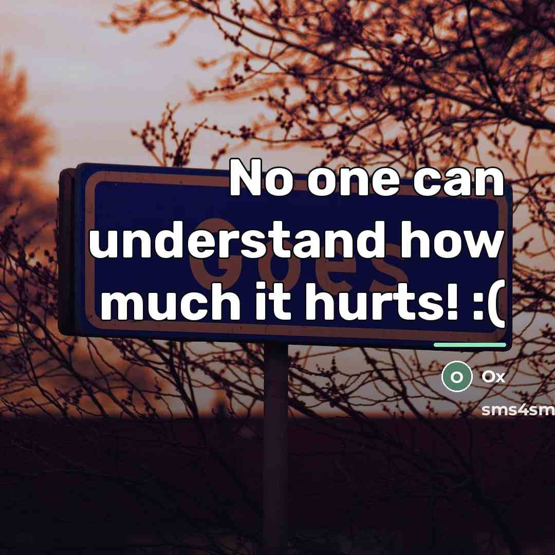 “No one can understand how much it hurts! :(…” quote by Ox
