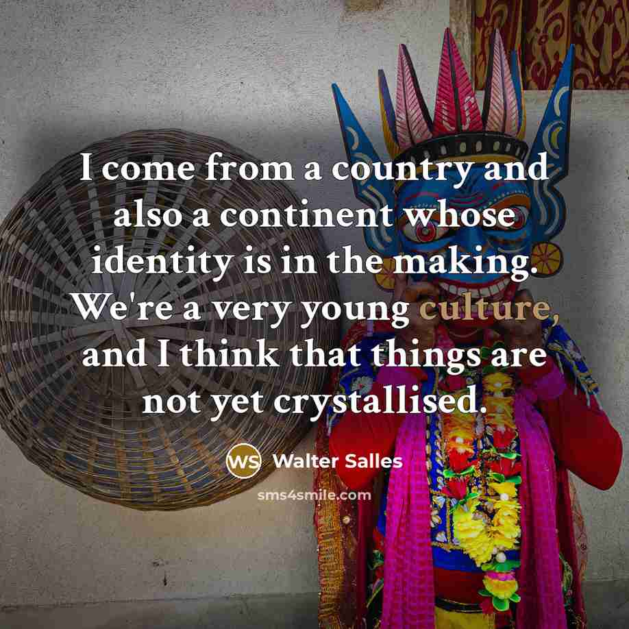“I come from a country and also a continent whose…” quote by Walter Salles
