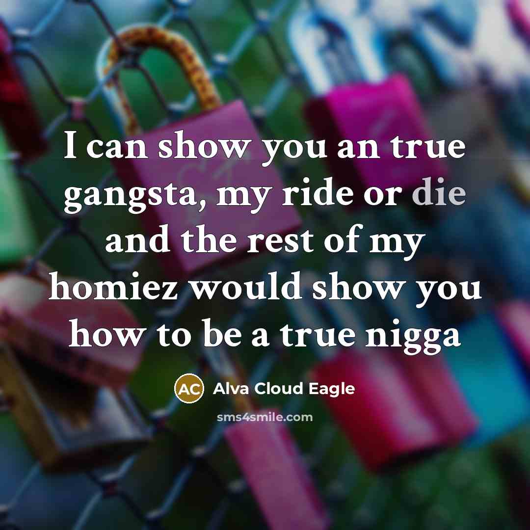 “I can show you an true gangsta, my ride or…” quote by Alva Cloud Eagle