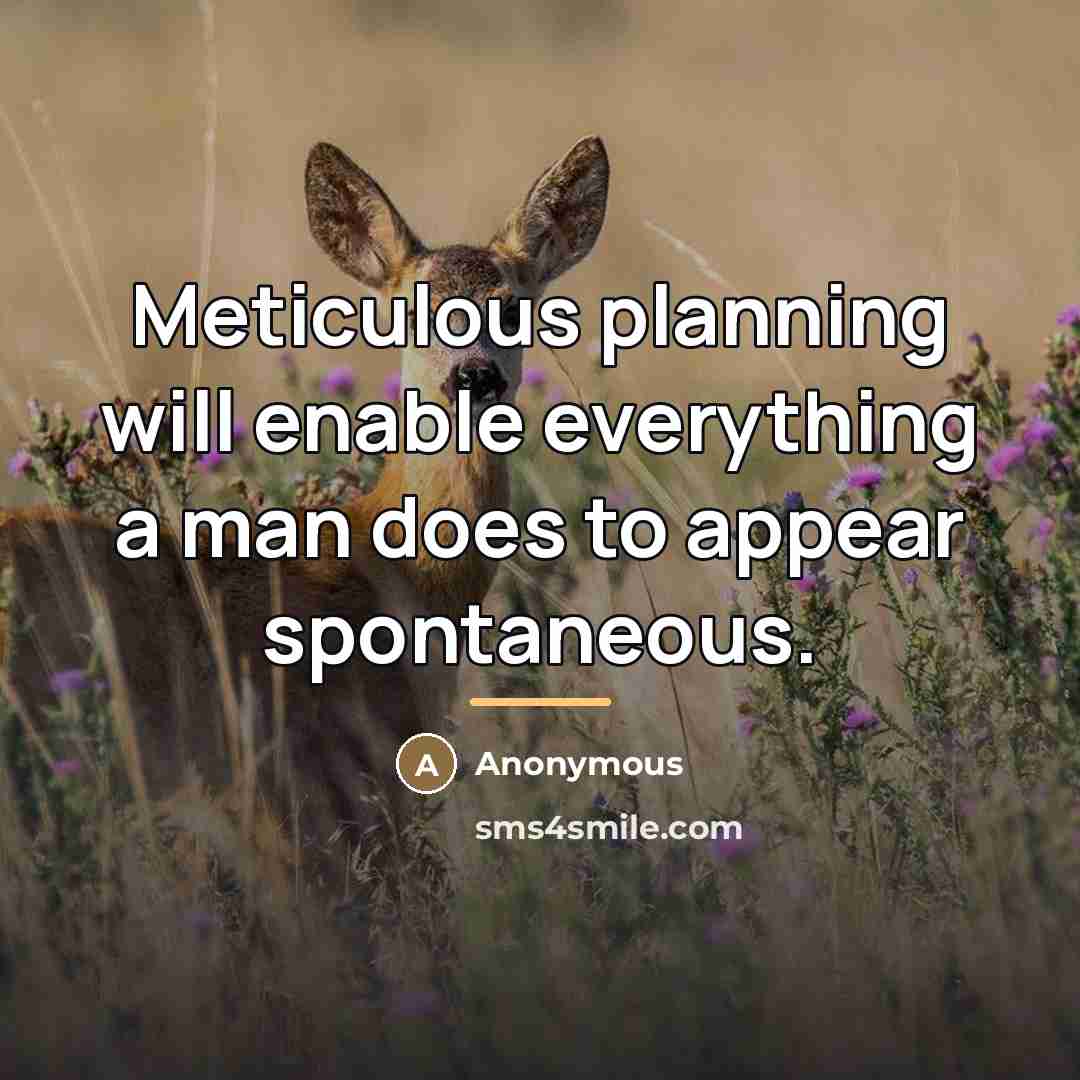 “Meticulous planning will enable everything a man does to appear…” quote by Anonymous