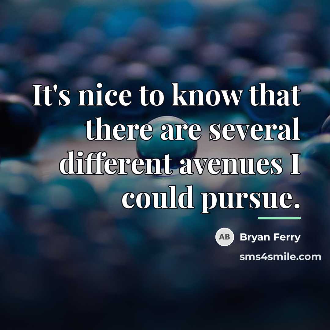 “It's nice to know that there are several different avenues…” quote by Bryan Ferry