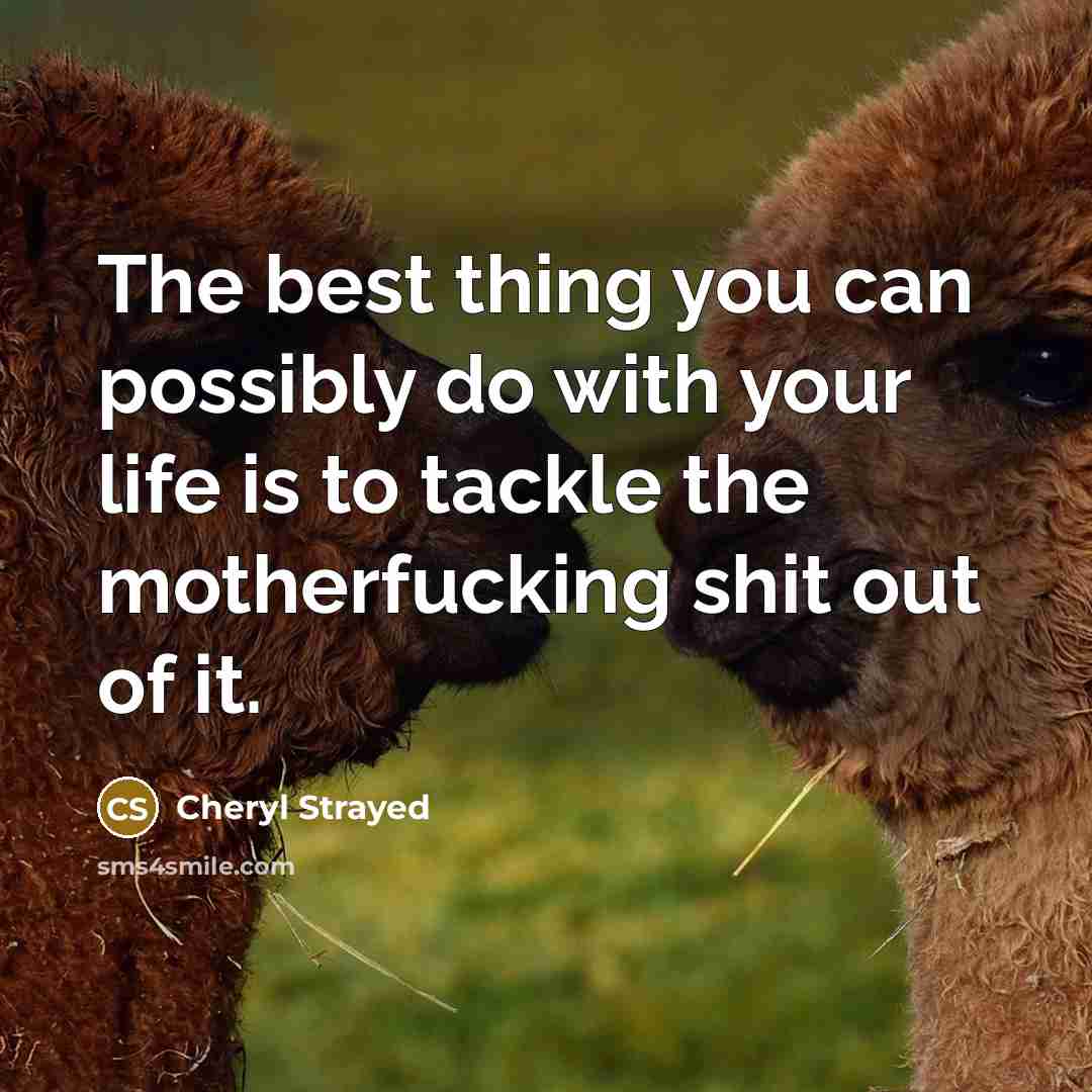 “The best thing you can possibly do with your life is to tackle the motherfucking shit out of it.” quote by Cheryl Strayed