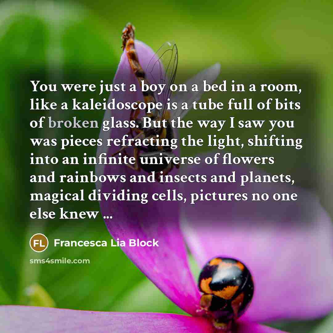 “You were just a boy on a bed in a…” quote by Francesca Lia Block