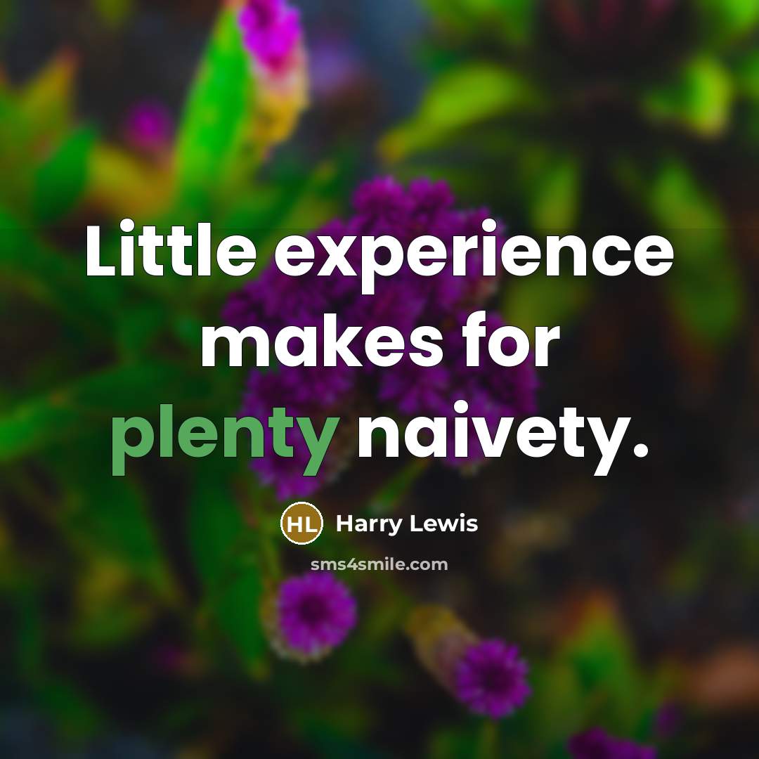 “Little experience makes for plenty naivety.…” quote by Harry Lewis