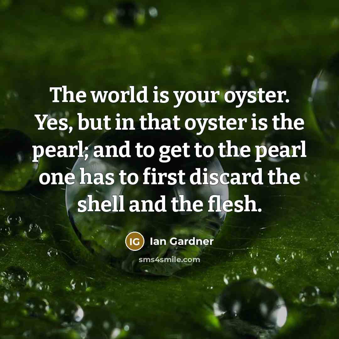 “The world is your oyster. Yes, but in that oyster…” quote by Ian Gardner
