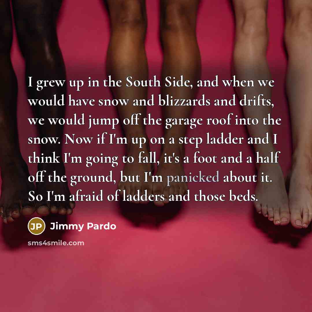 “I grew up in the South Side, and when we…” quote by Jimmy Pardo