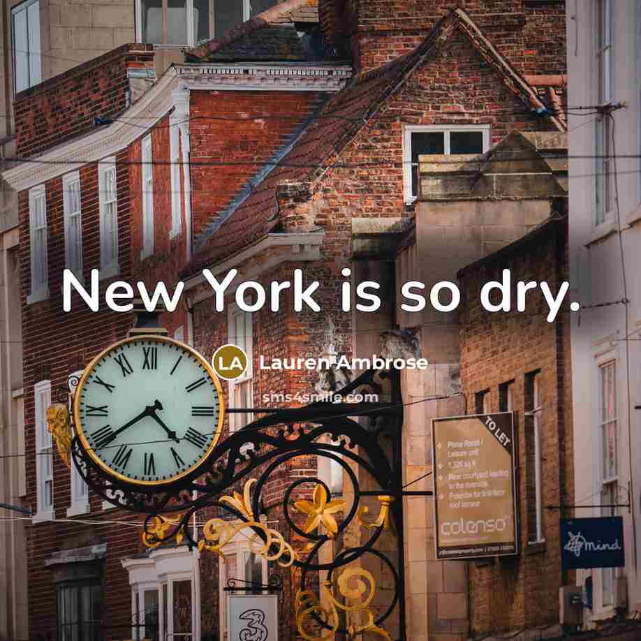 “New York is so dry.…” quote by Lauren Ambrose