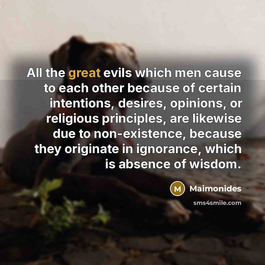 “All the great evils which men cause to each other…” quote by Maimonides