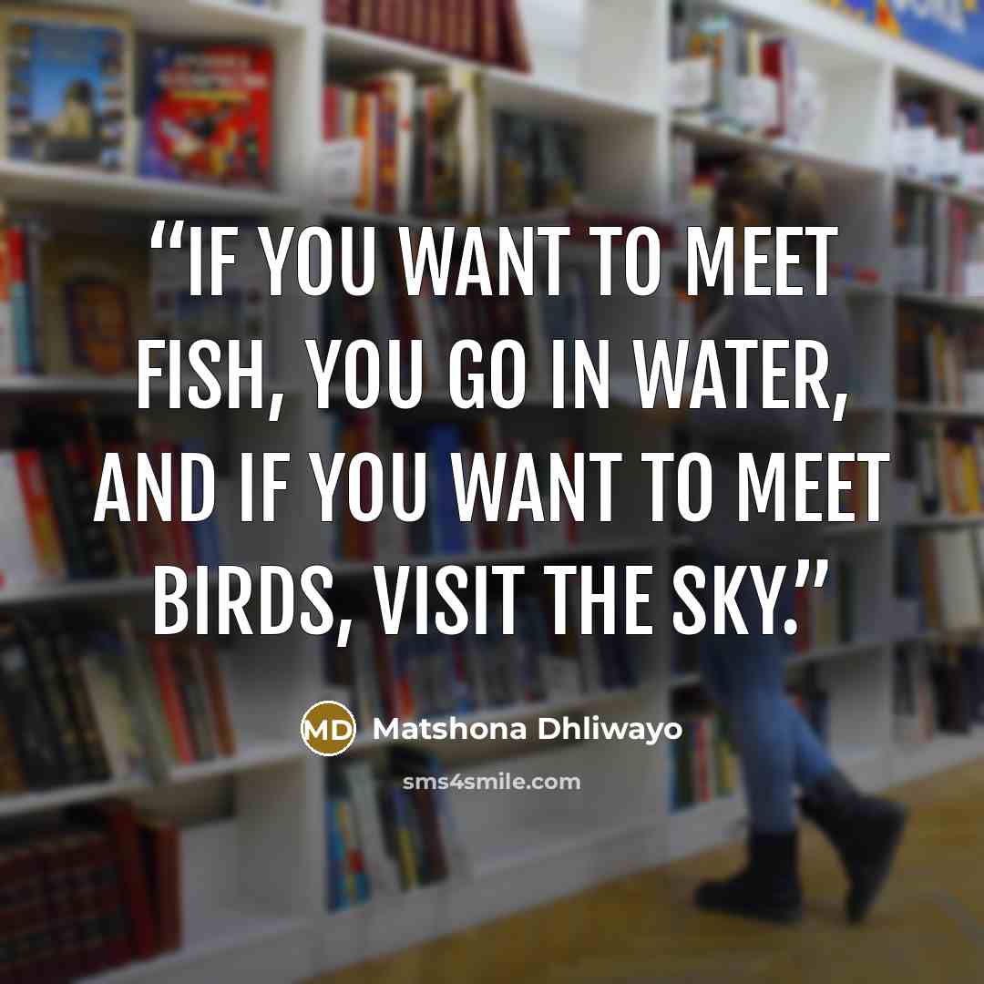 “If you want to meet fish, you go in water, and if you want to meet birds, visit the sky.” quote by Matshona Dhliwayo