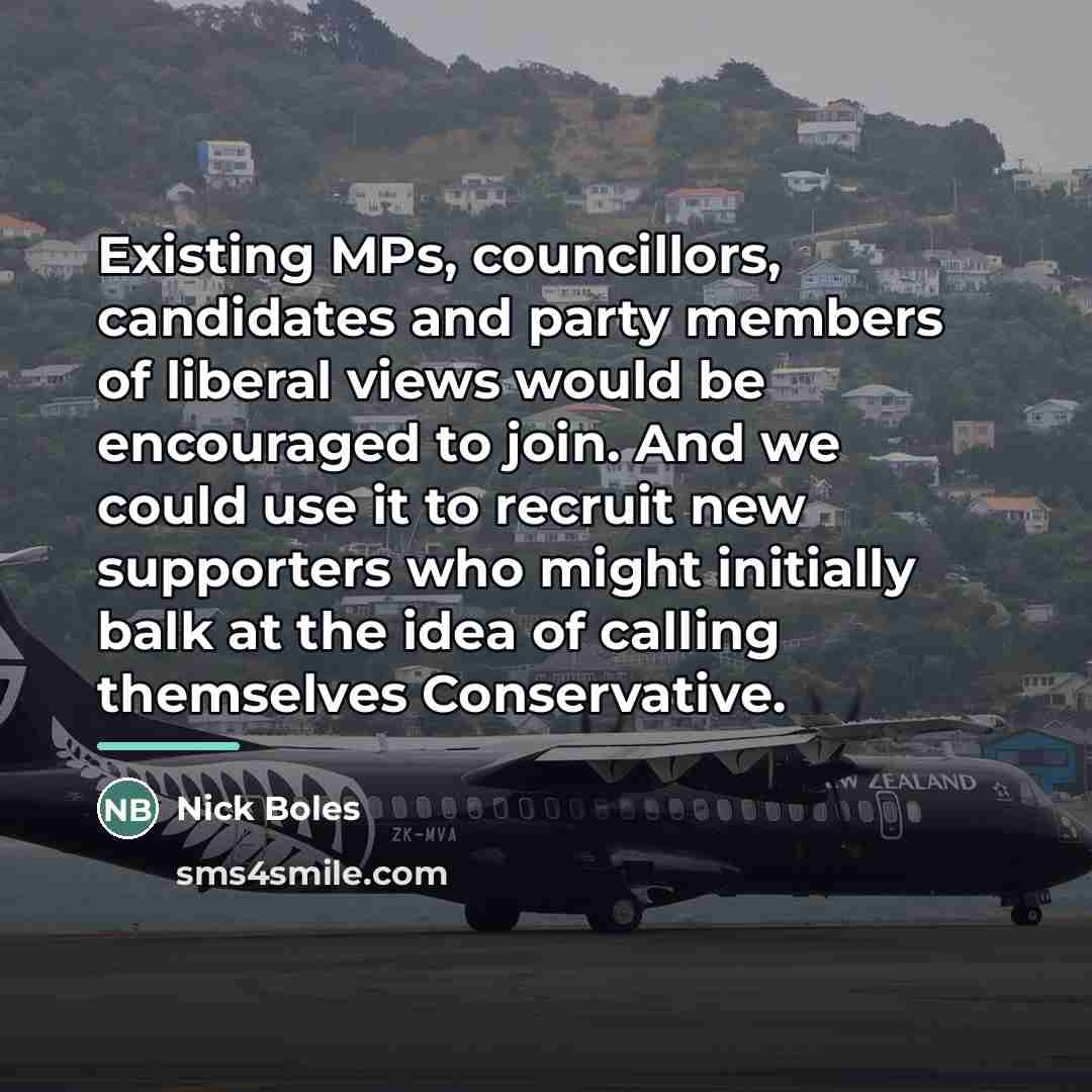 “Existing MPs, councillors, candidates and party members of liberal views…” quote by Nick Boles