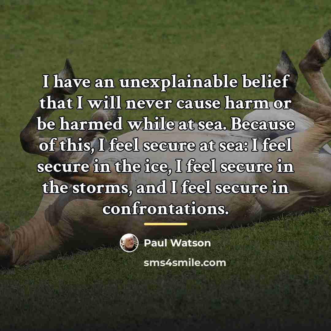 “I have an unexplainable belief that I will never cause…” quote by Paul Watson