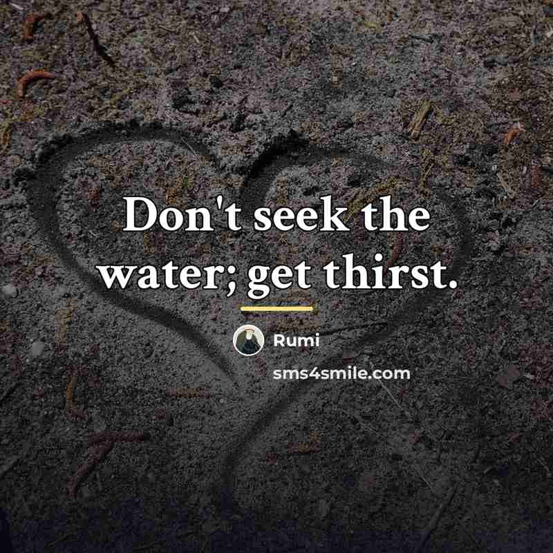 “Don't seek the water; get thirst.…” quote by Rumi