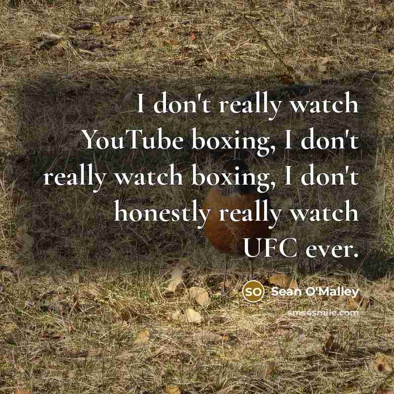 “I don't really watch YouTube boxing, I don't really watch…” quote by Sean O'Malley