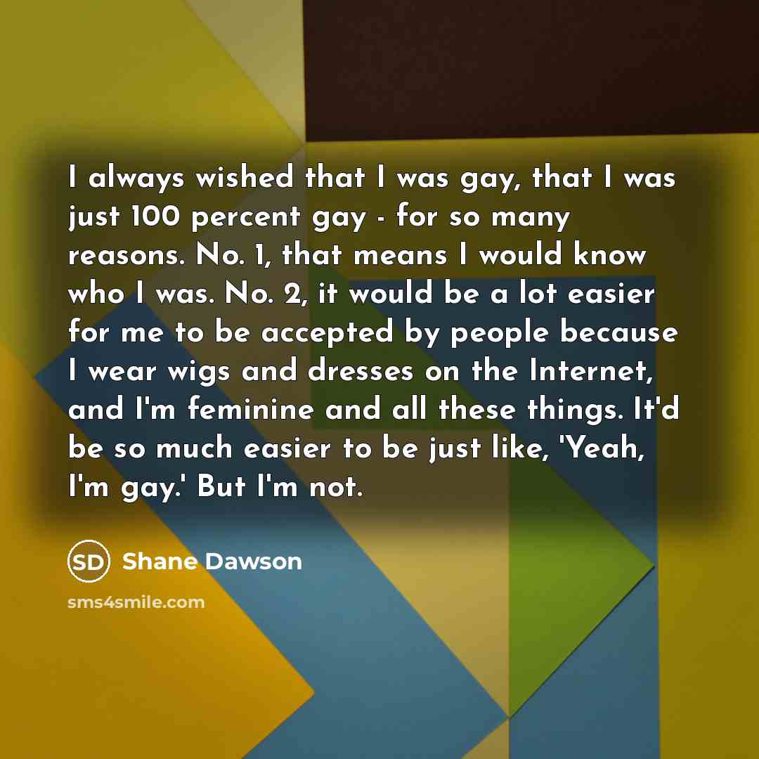 “I always wished that I was gay, that I was…” quote by Shane Dawson