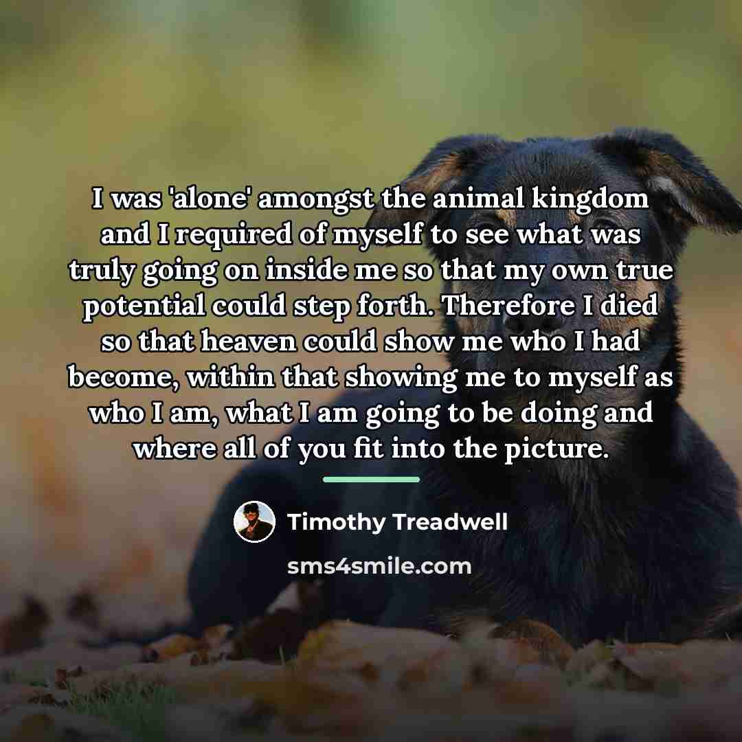 “I was 'alone' amongst the animal kingdom and I required…” quote by Timothy Treadwell