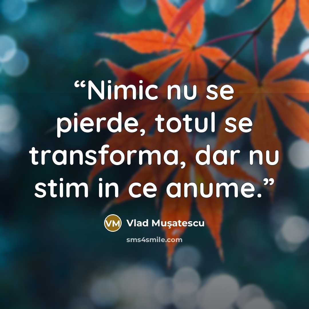 “Nimic nu se pierde, totul se transforma, dar nu stim in ce anume.” quote by Vlad Muşatescu