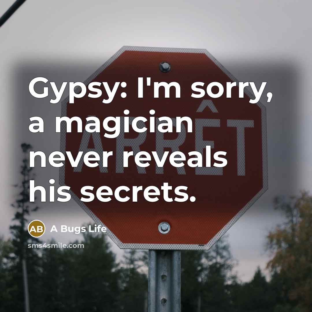 “Gypsy: I'm sorry, a magician never reveals his secrets.…” quote by A Bugs Life