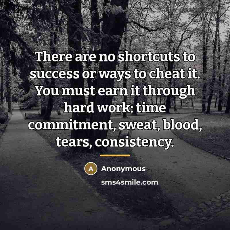 “There are no shortcuts to success or ways to cheat…” quote by Anonymous