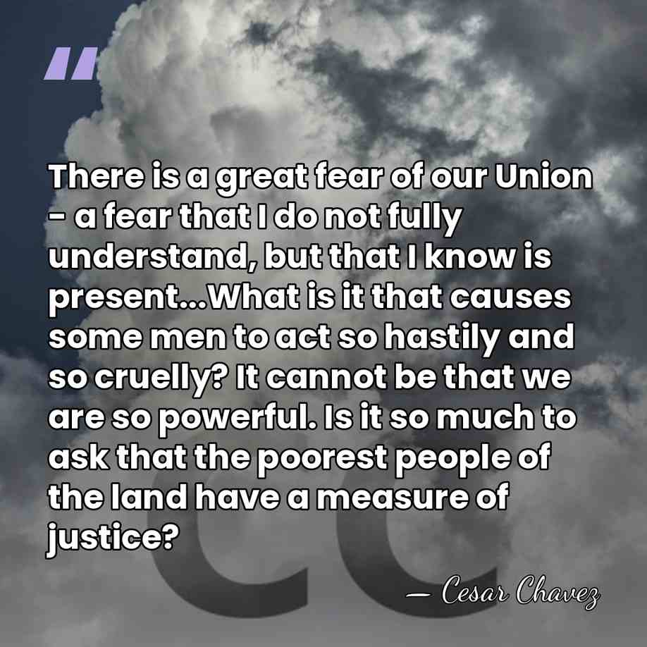 There is a great fear of our Union - a fear that&hellip; - Cesar Chavez