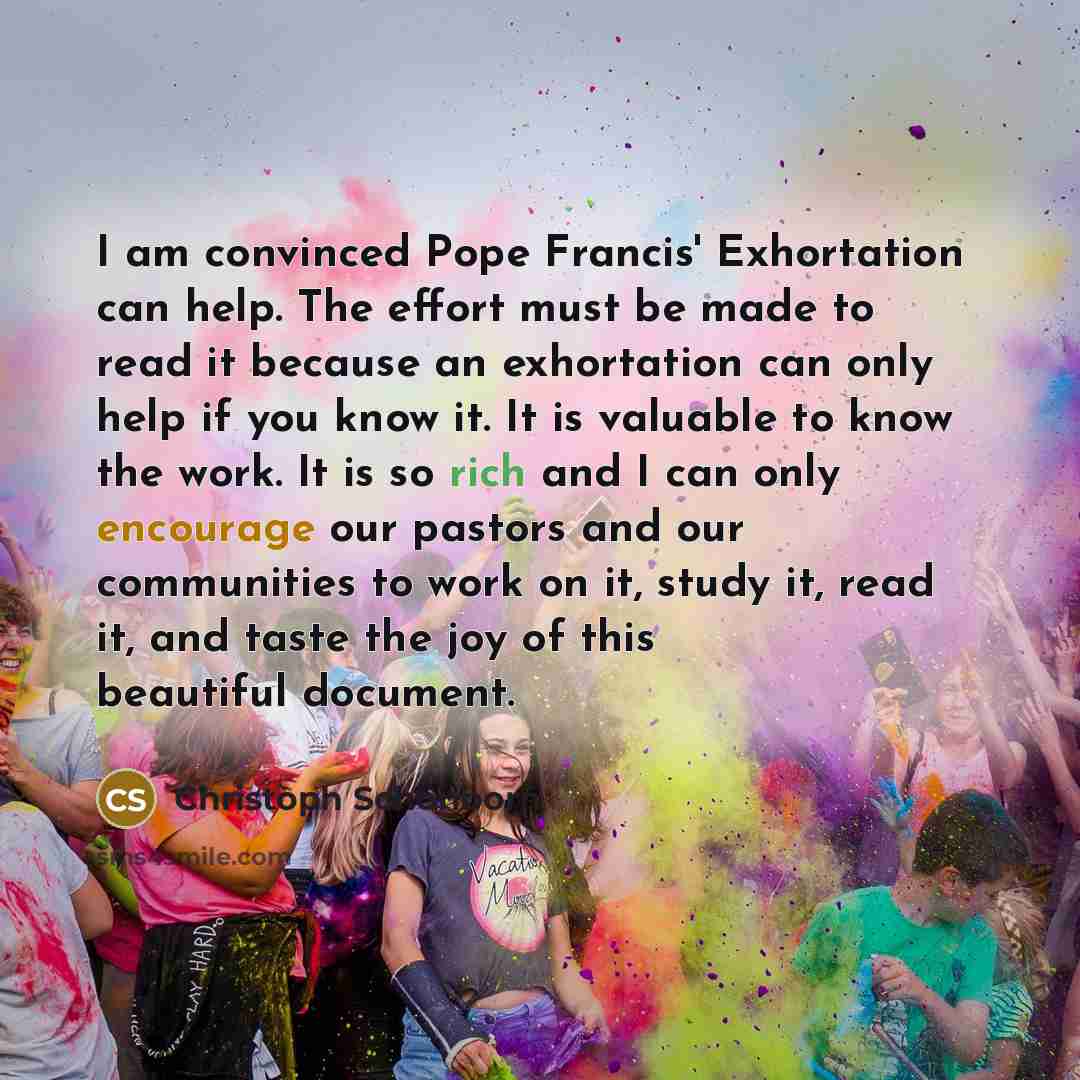 “I am convinced Pope Francis' Exhortation can help. The effort…” quote by Christoph Schonborn