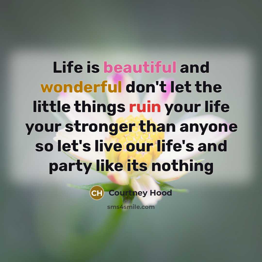 “Life is beautiful and wonderful don't let the little things…” quote by Courtney Hood