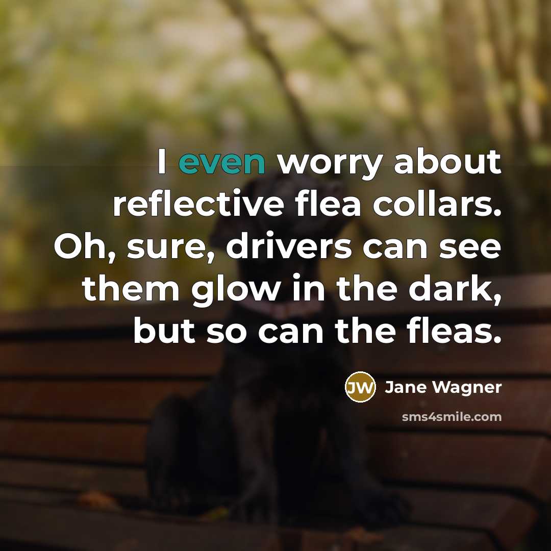 “I even worry about reflective flea collars. Oh, sure, drivers…” quote by Jane Wagner