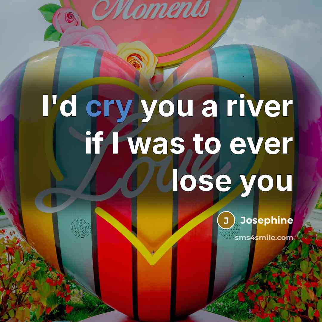 “I'd cry you a river if I was to ever…” quote by Josephine